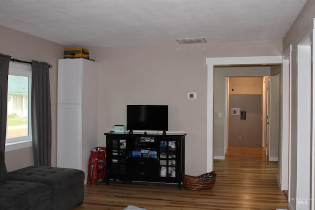 living room featuring hardwood / wood-style floors