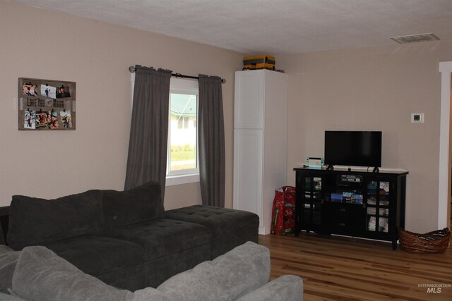 living room with wood-type flooring