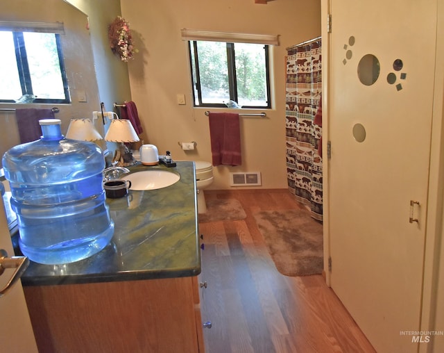 bathroom with vanity, toilet, and wood-type flooring