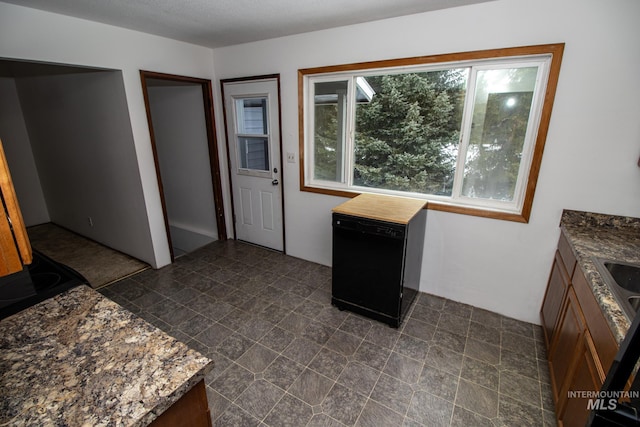 kitchen featuring dark stone counters and dishwasher