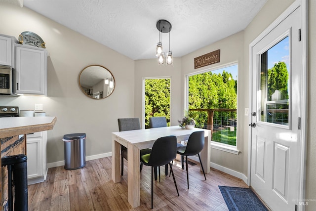 8116 Waterleaf Ave, Nampa, ID 83687 - dining room featuring baseboards, healthy amount of natural light, and a textured ceiling