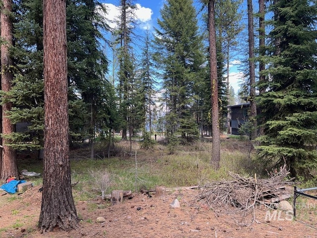 329 Forest St, Mccall, ID 83638 - view of local wilderness