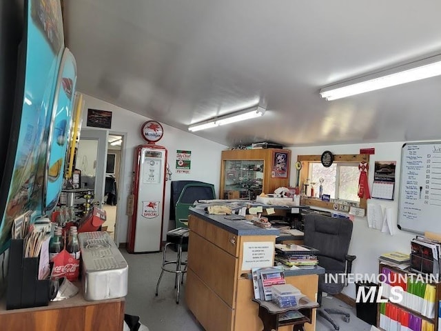 interior space with lofted ceiling