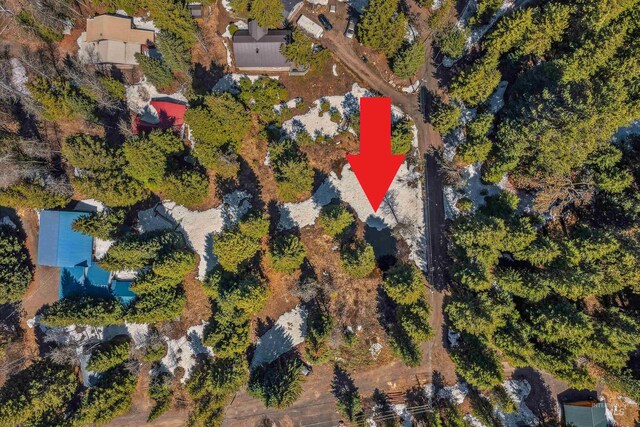 TBD Crescent Dr, Mccall, ID 83638