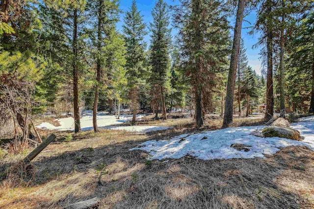 TBD Crescent Dr, Mccall, ID 83638