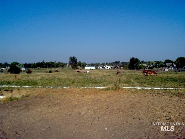 view of yard with a rural view