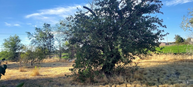 view of nature featuring a rural view