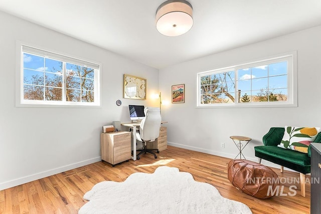 office space with a healthy amount of sunlight, baseboards, and wood finished floors