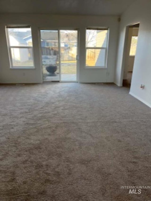 carpeted empty room with a wealth of natural light and lofted ceiling