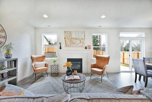 living room featuring wood-type flooring