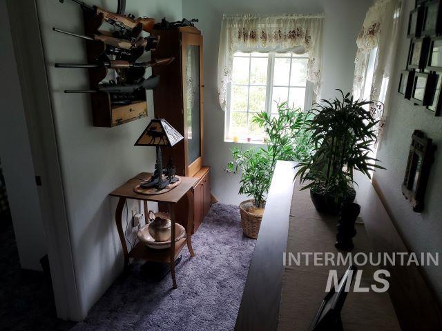 3460 American River Rd, Elk City, ID 83525 - corridor featuring carpet