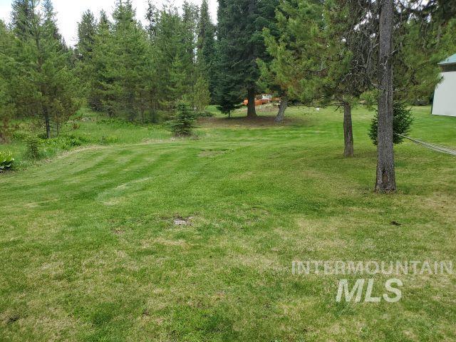 3460 American River Rd, Elk City, ID 83525 - view of yard