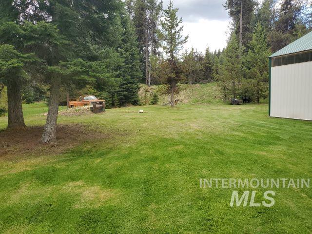 3460 American River Rd, Elk City, ID 83525 - view of yard