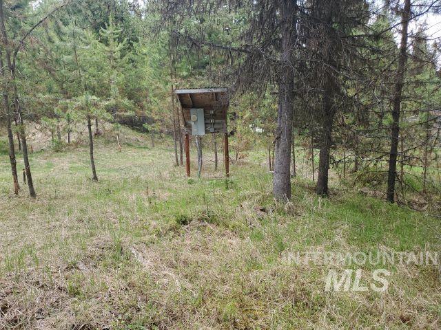 3460 American River Rd, Elk City, ID 83525 - view of local wilderness featuring a wooded view