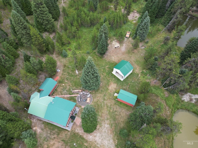 3460 American River Rd, Elk City, ID 83525 - bird's eye view