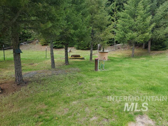 3460 American River Rd, Elk City, ID 83525 - view of yard