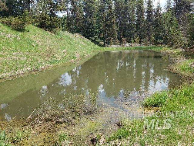 3460 American River Rd, Elk City, ID 83525 - view of water feature with a wooded view