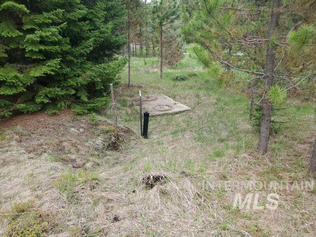 3460 American River Rd, Elk City, ID 83525 - view of yard
