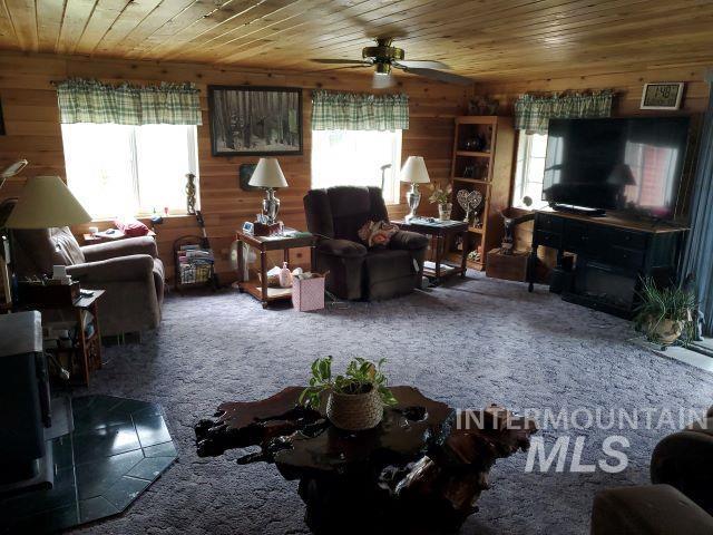 3460 American River Rd, Elk City, ID 83525 - living area featuring carpet floors, wood ceiling, wooden walls, and a wealth of natural light