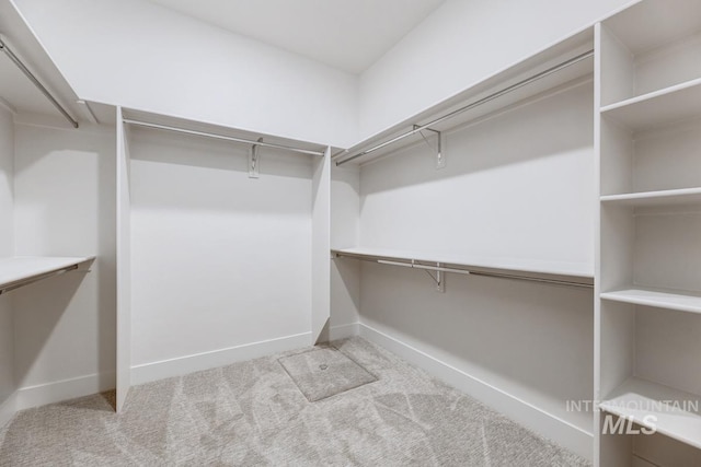 walk in closet with light carpet