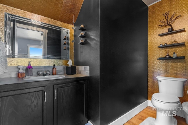 16042 N Saint Helens Dr, Nampa, ID 83651 - bathroom with wood finished floors, vanity, tasteful backsplash, and toilet
