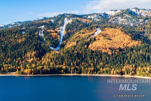 property view of water featuring a mountain view