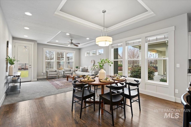 dining room featuring a raised ceiling, ceiling fan, and dark hardwood / wood-style flooring