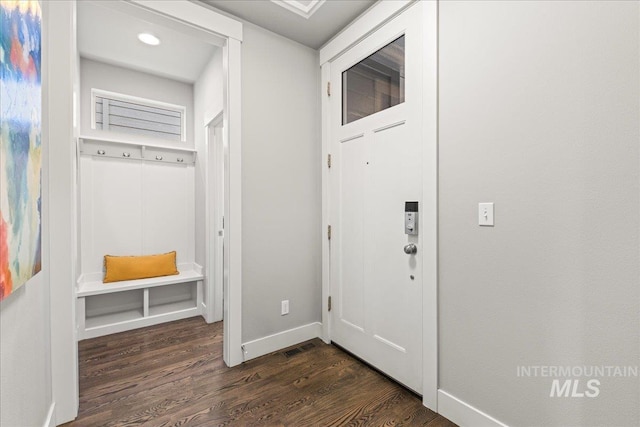 mudroom featuring dark wood-type flooring