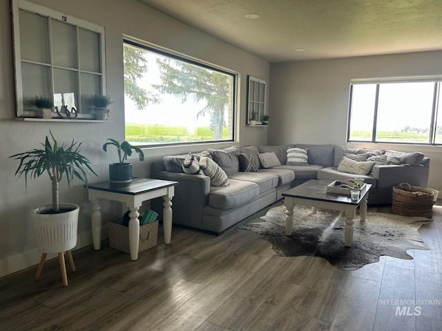 4 N 1050 E, Declo, ID 83323 - living room featuring wood finished floors