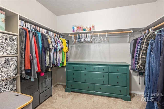 spacious closet featuring carpet flooring