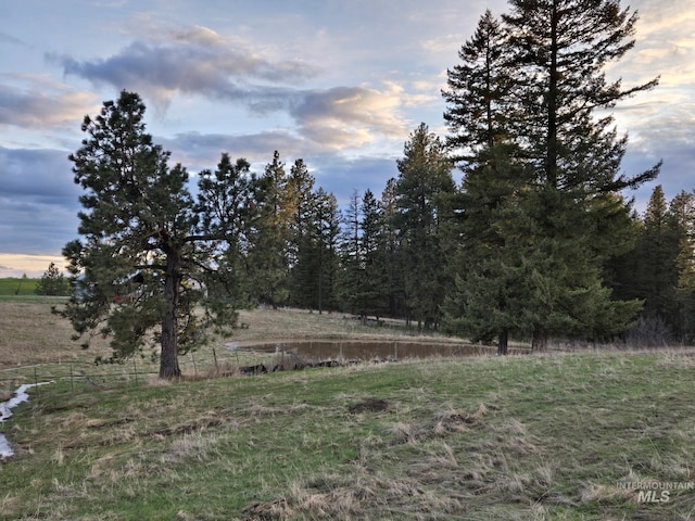 view of landscape