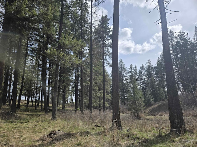 view of nature