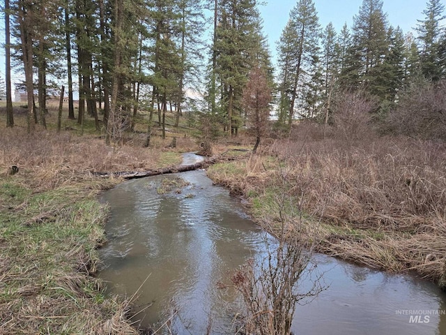 water view