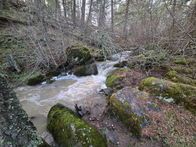 view of local wilderness