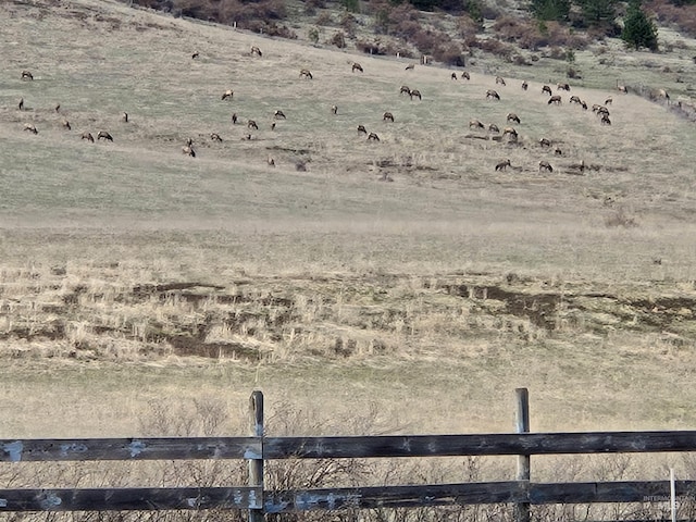 view of yard with fence and a rural view
