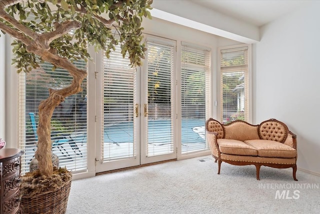 sitting room featuring carpet floors