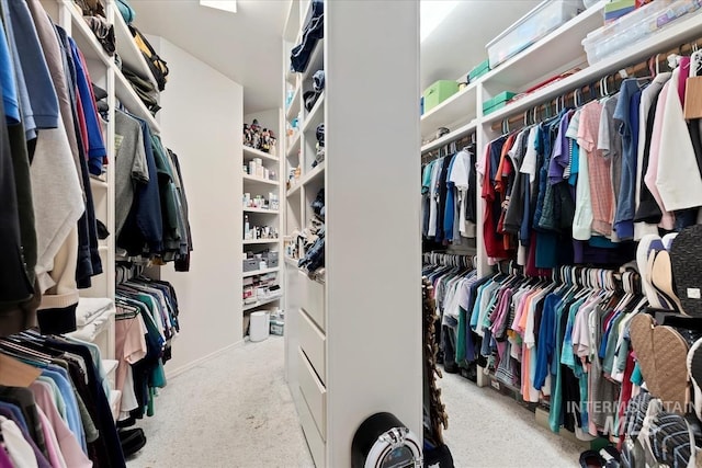 spacious closet featuring light colored carpet