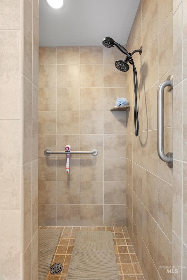 1573 E Commander St, Meridian, ID 83646 - full bathroom featuring tiled shower