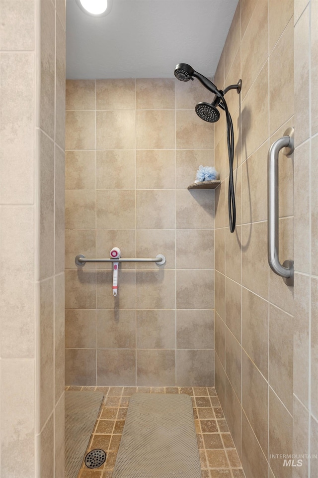 1573 E Commander St, Meridian, ID 83646 - full bathroom featuring tiled shower