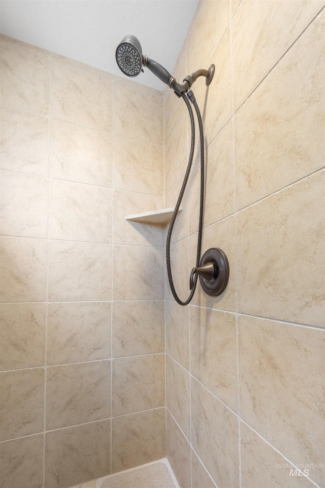 1573 E Commander St, Meridian, ID 83646 - bathroom view of tiled shower