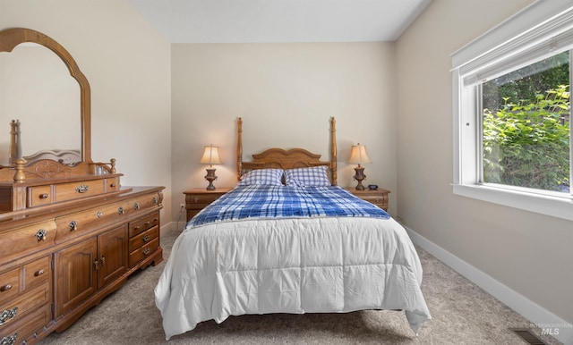 1573 E Commander St, Meridian, ID 83646 - bedroom with light carpet, multiple windows, and baseboards