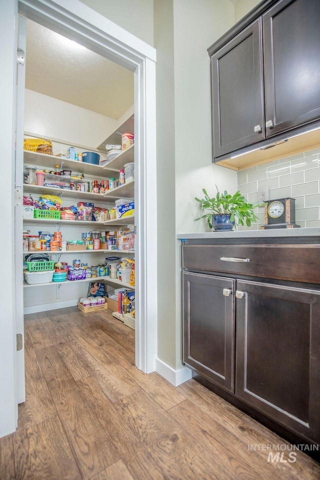 view of pantry