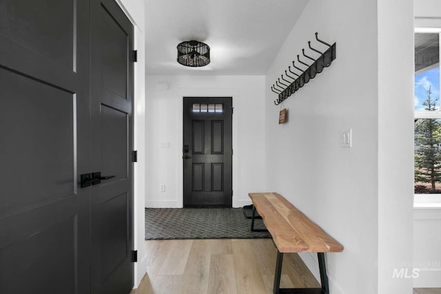 foyer with light hardwood / wood-style flooring