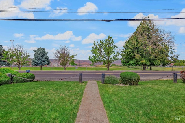1332 Burrell Ave, Lewiston, ID 83501 - view of green lawn