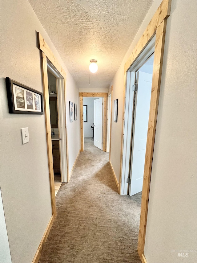 301 N Mission St Unit C3, Mccall, ID 83638 - corridor featuring carpet flooring and a textured ceiling