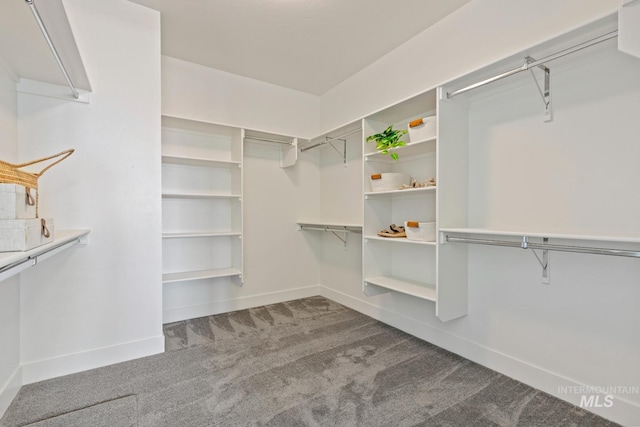 7760 W Flathead Lake St, Eagle, ID 83616 - walk in closet featuring carpet flooring