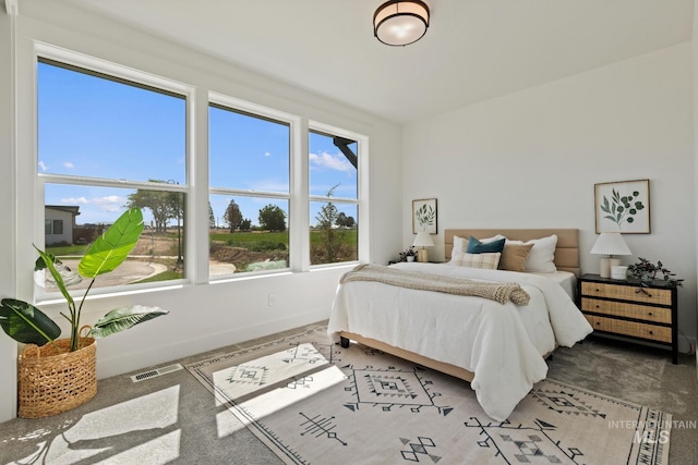 7760 W Flathead Lake St, Eagle, ID 83616 - bedroom with carpet floors and baseboards