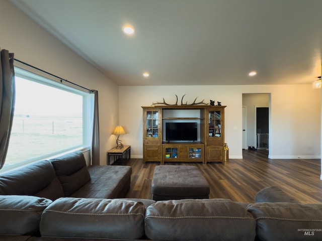 living room with dark hardwood / wood-style flooring