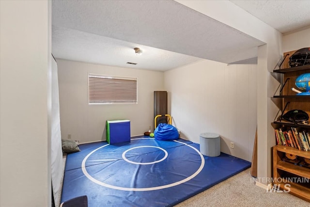 game room with carpet flooring and a textured ceiling