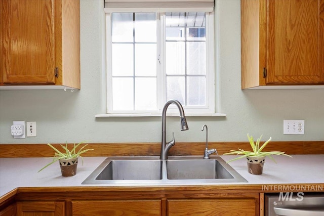 kitchen featuring sink, stainless steel dishwasher, and a wealth of natural light